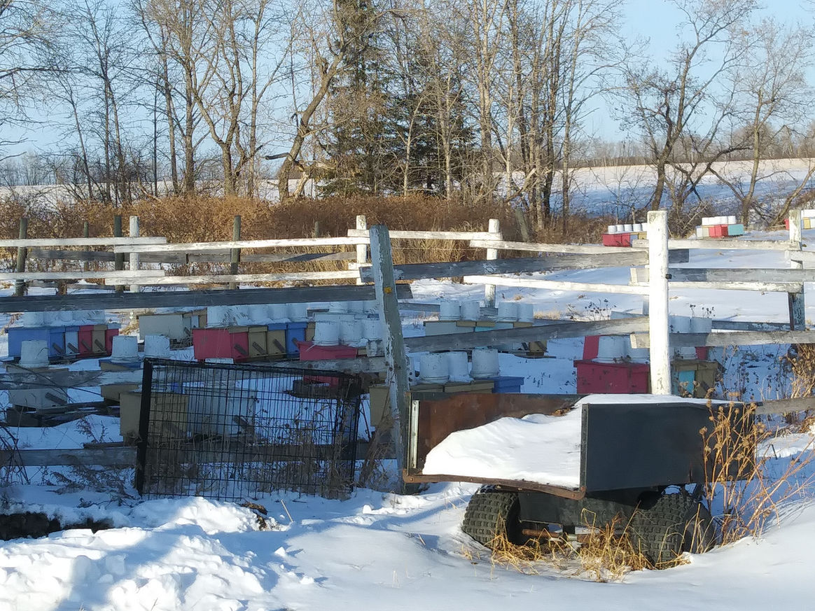 2021 Season photo 19